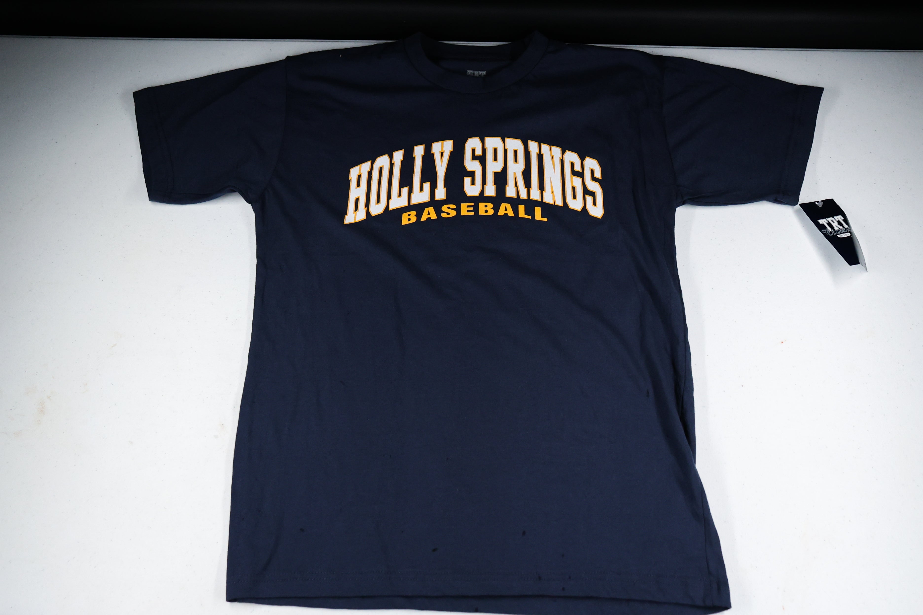 Holly Spring Salamander Basic Tee