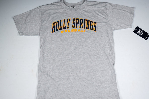 Holly Spring Salamander Basic Tee
